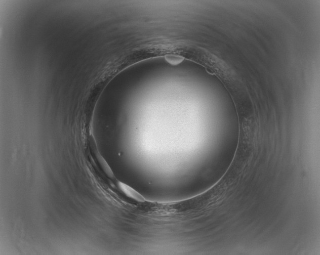 X0000084010642200702161202