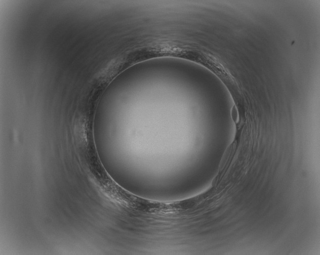 X0000084010643200702161202