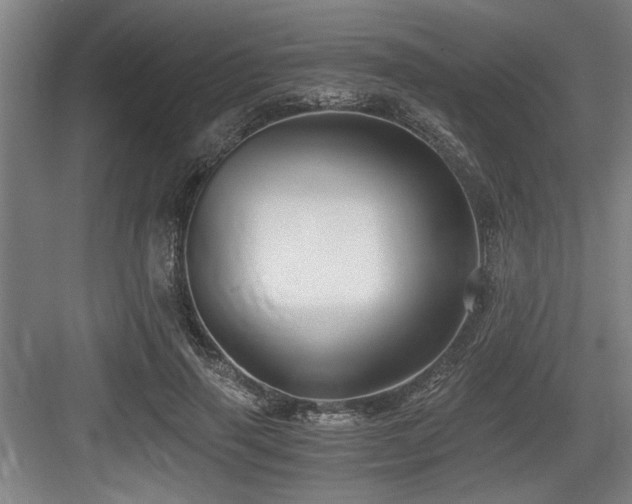 X0000084010645200702161203