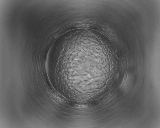 X0000084010649200702161203