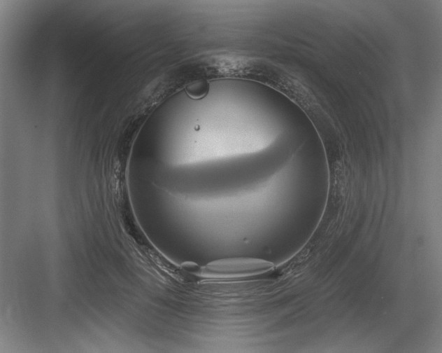 X0000084010650200702161203