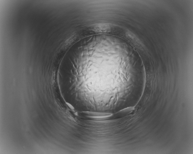 X0000084010652200702161203