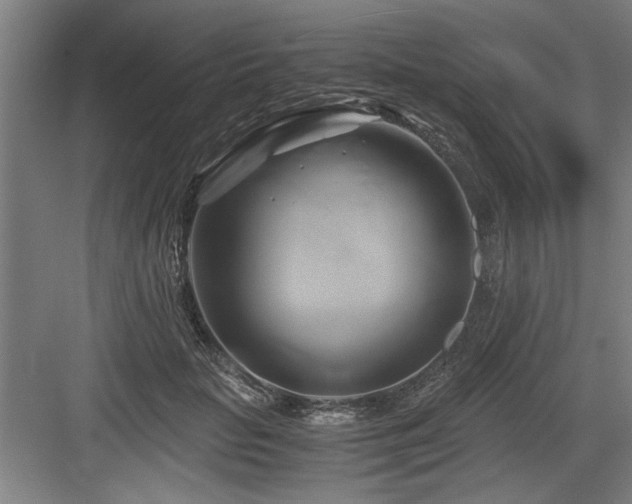 X0000084010653200702161203