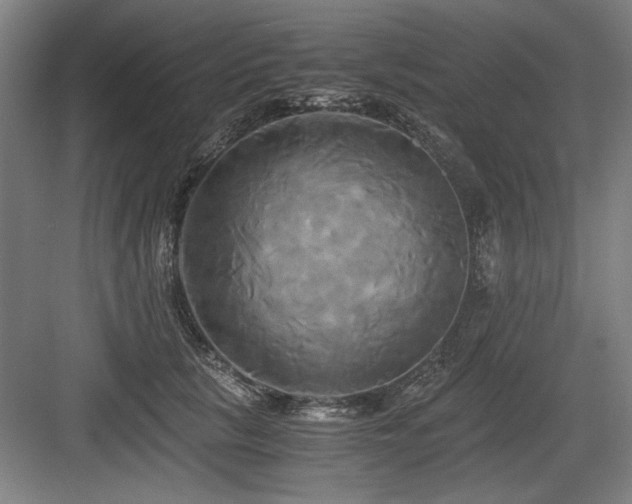 X0000084010657200702161203