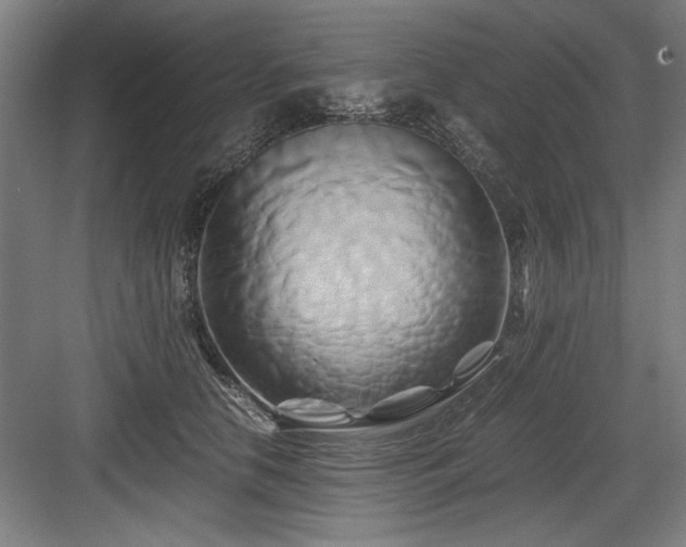 X0000084010658200702161203