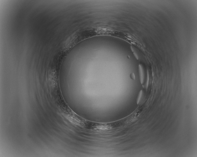 X0000084010659200702161203