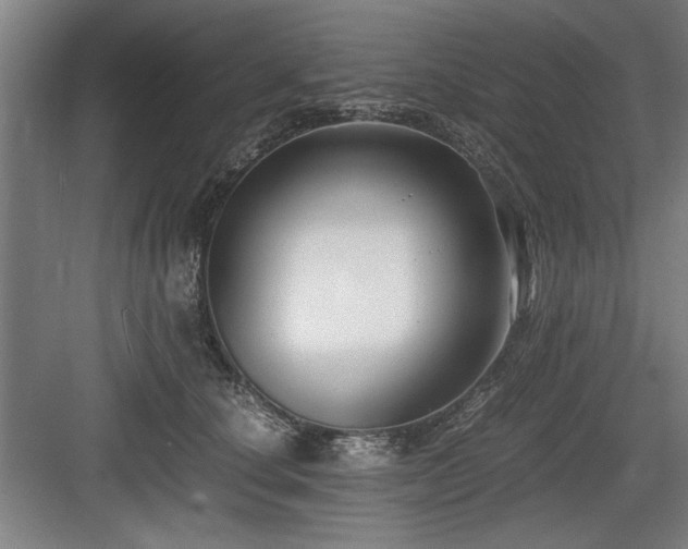 X0000084010660200702161203