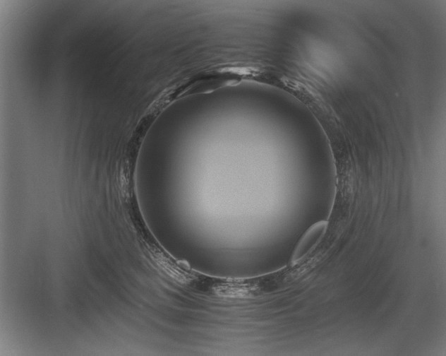 X0000084010661200702161203