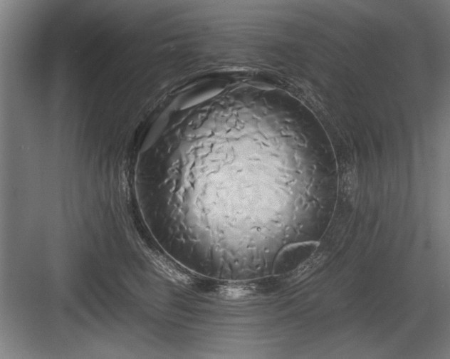 X0000084010662200702161203