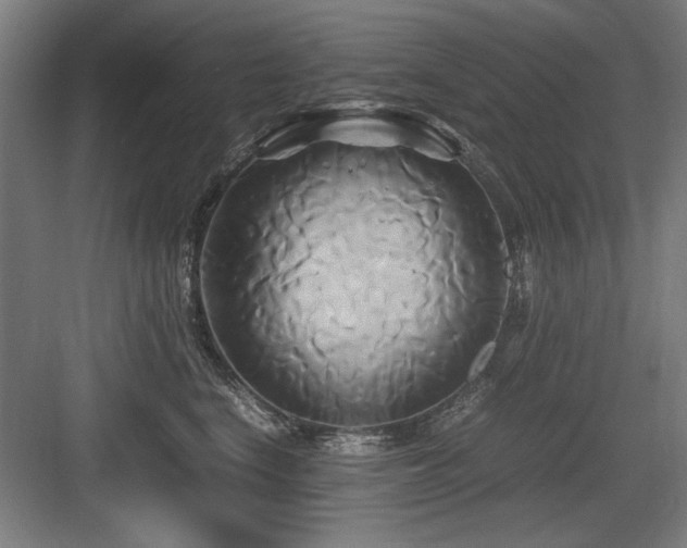 X0000084010664200702161203