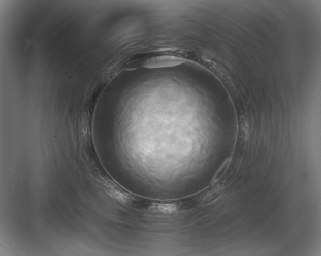X0000084010665200702161203