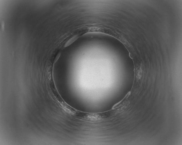 X0000084010666200702161203