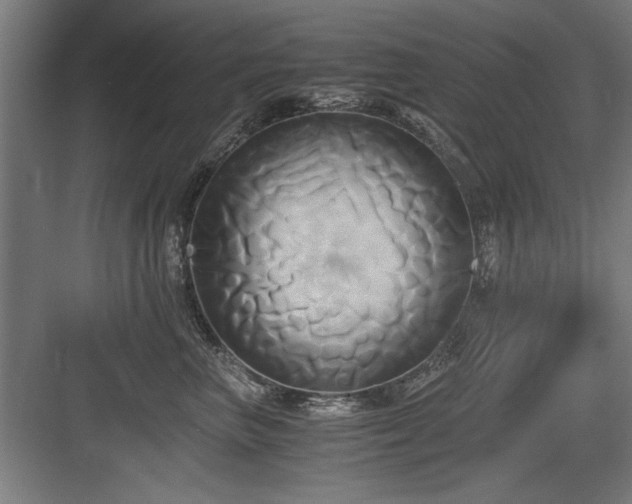 X0000084010667200702161203