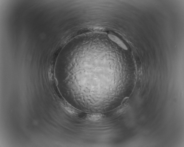 X0000084010671200702161203