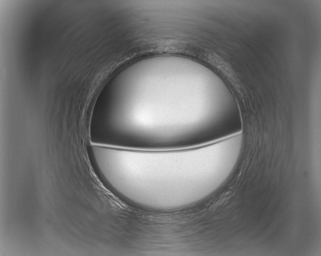X0000084010673200702161202