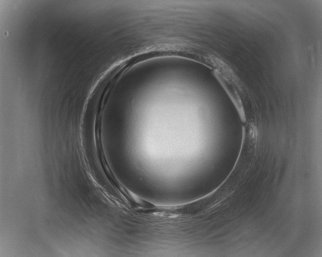 X0000084010676200702161202