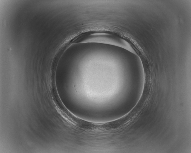 X0000084010677200702161202