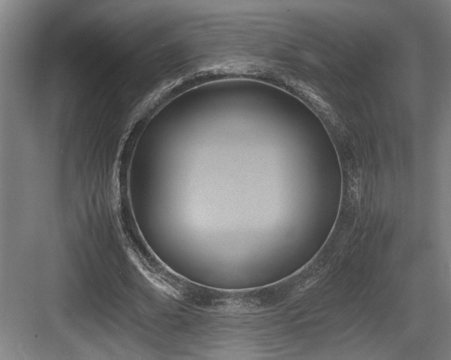 X0000084010678200702161202