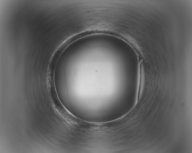 X0000084010680200702161202