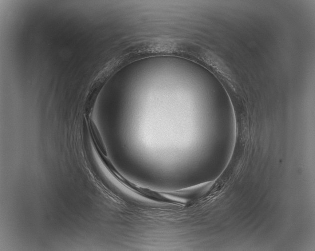 X0000084010681200702161202