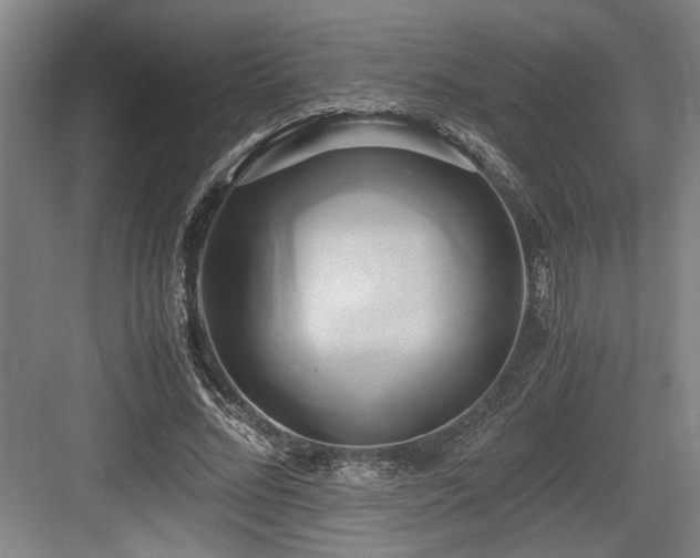 X0000084010684200702161202