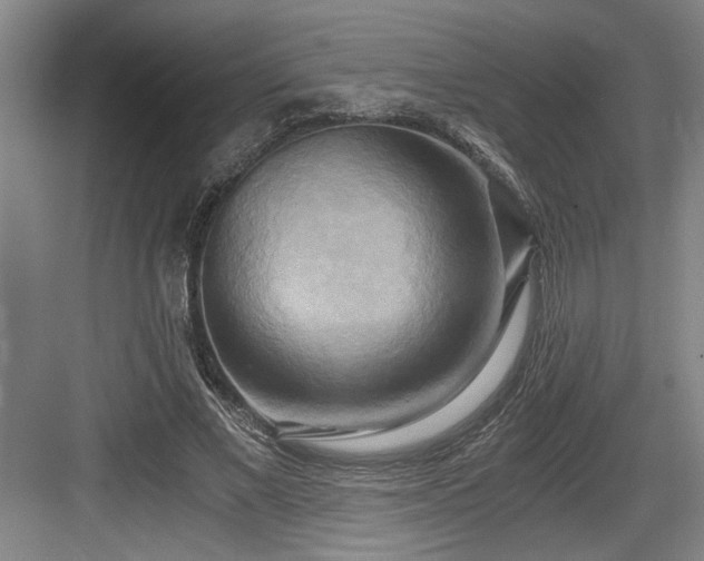 X0000084010685200702161202