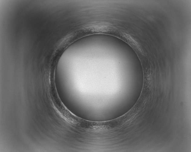X0000084010686200702161202