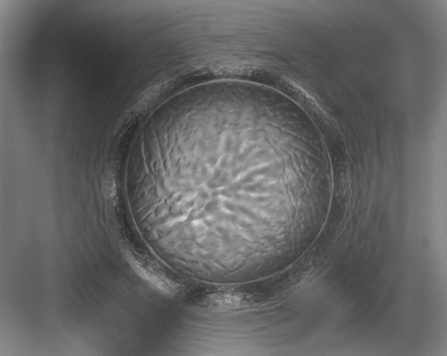 X0000084010687200702161202