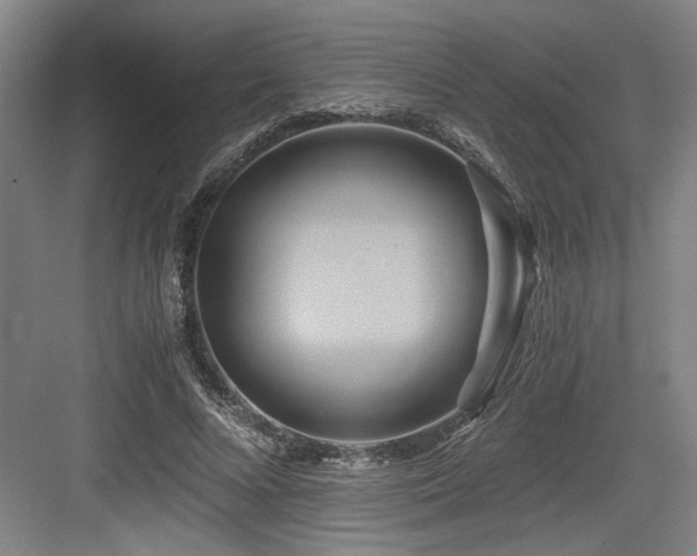 X0000084010688200702161202