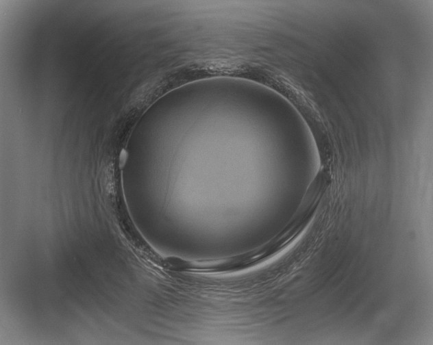 X0000084010689200702161202