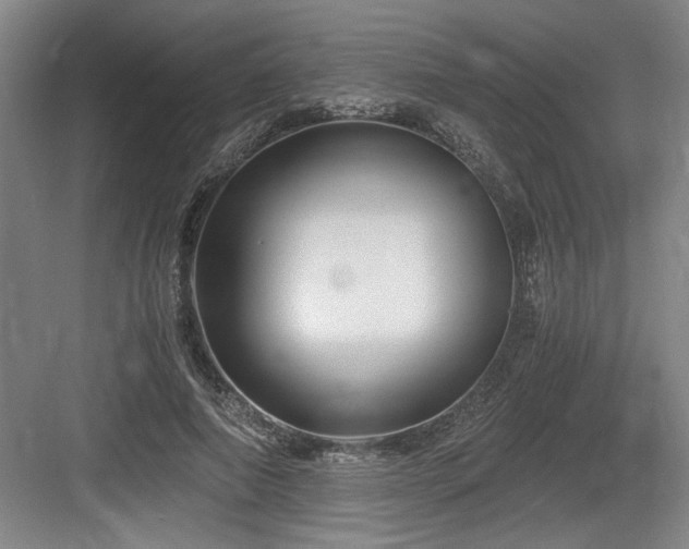 X0000084010690200702161202