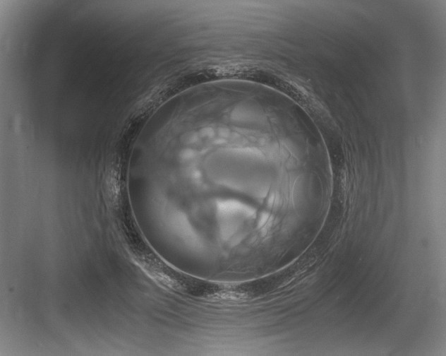 X0000084010691200702161202