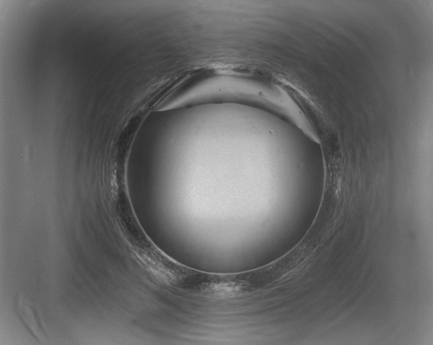 X0000084010692200702161202