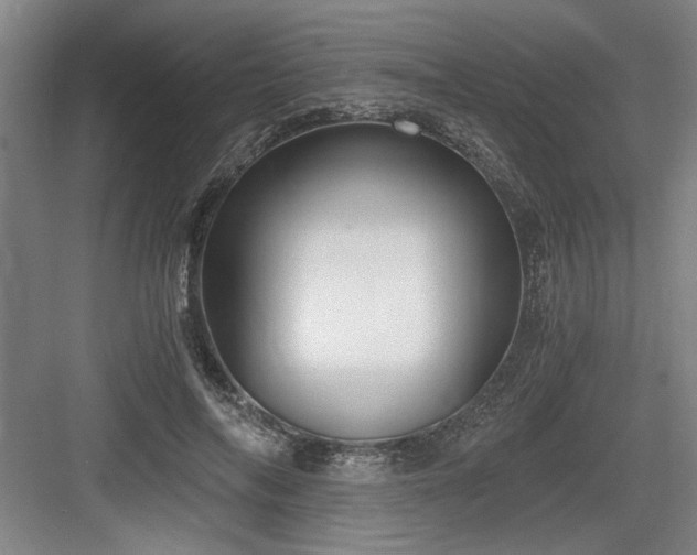 X0000084010694200702161202