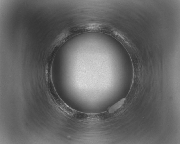 X0000084010696200702161202