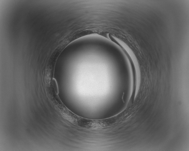 X0000084010697200702161202