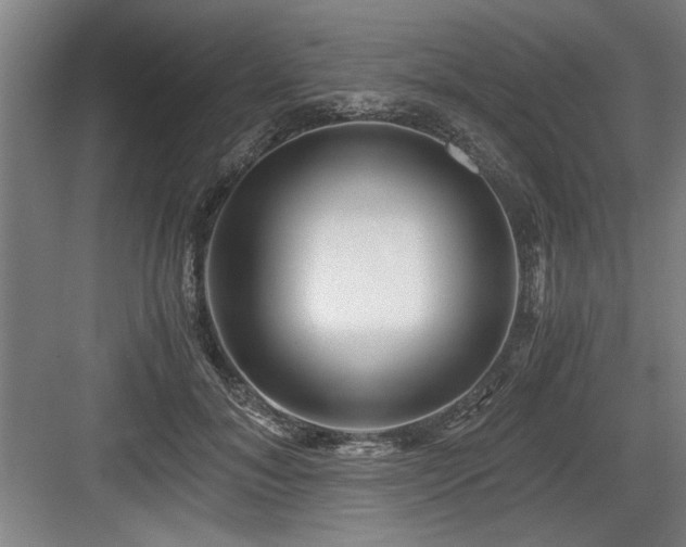 X0000084010700200702161202