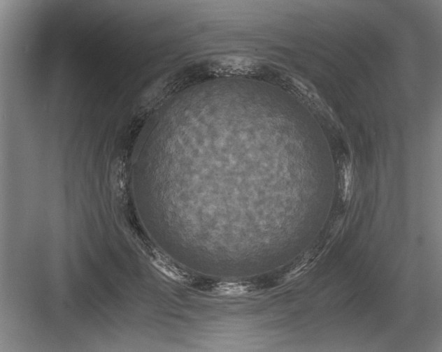 X0000084010701200702161202