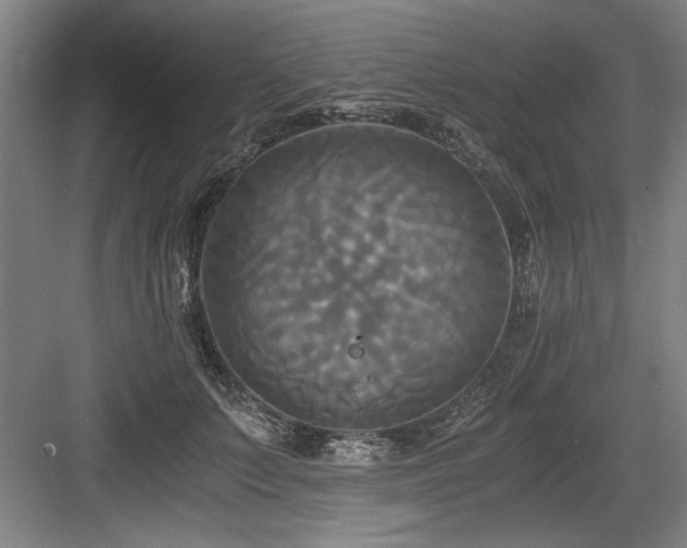 X0000084010703200702161202