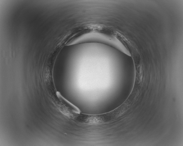 X0000084010704200702161202