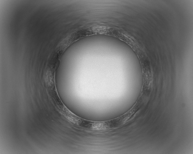 X0000084010705200702161202