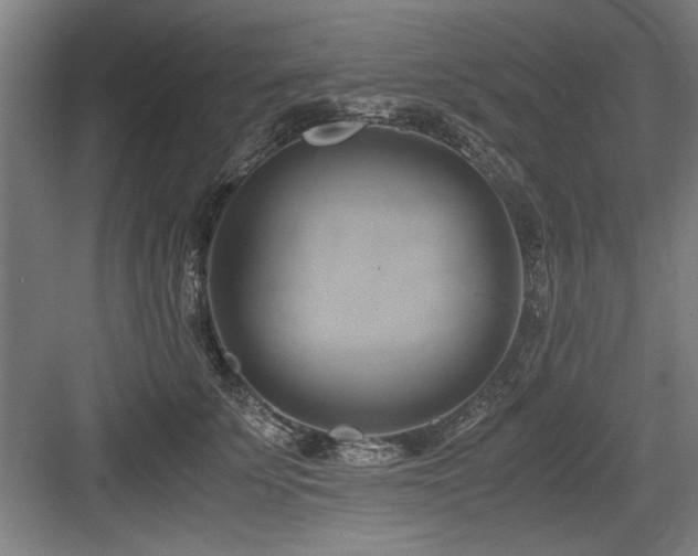 X0000084010707200702161201