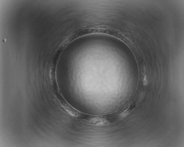 X0000084010708200702161201