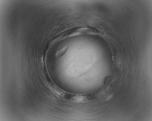 X0000084010711200702161201