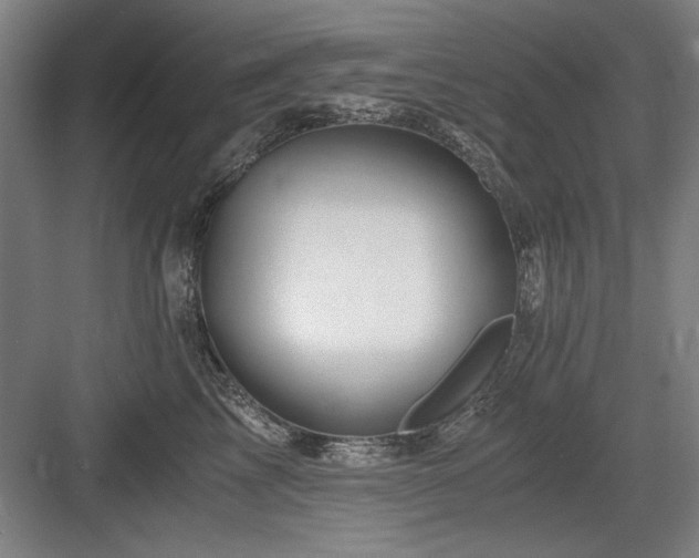 X0000084010713200702161201