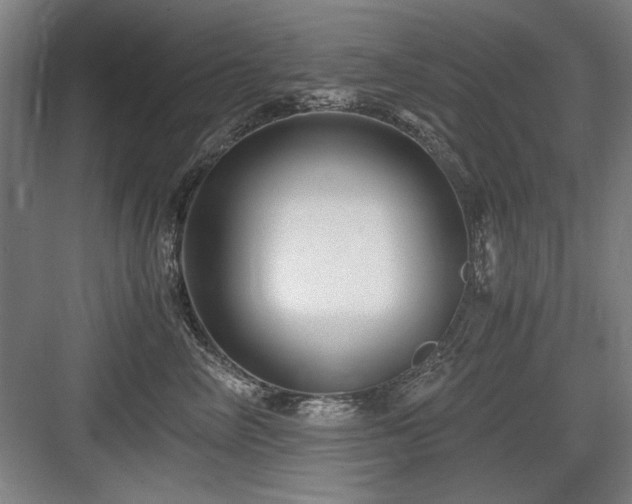 X0000084010714200702161201