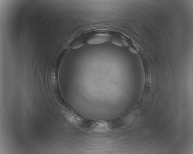 X0000084010715200702161201