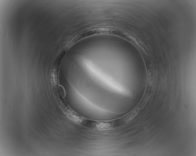 X0000084010718200702161201