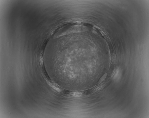 X0000084010719200702161201