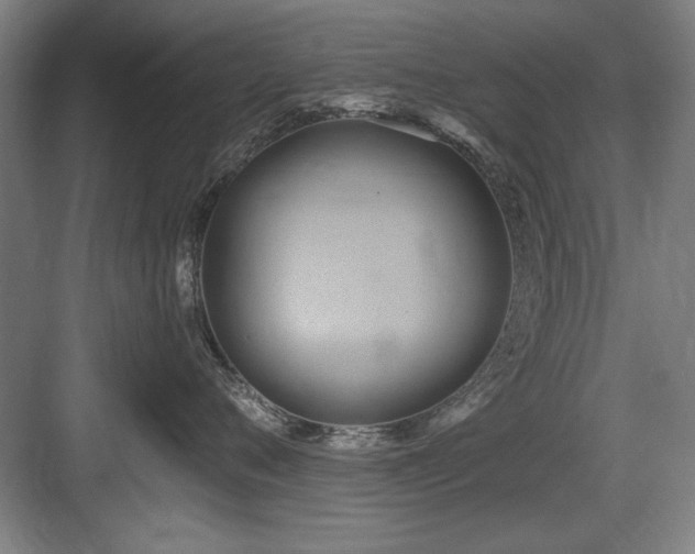X0000084010720200702161201